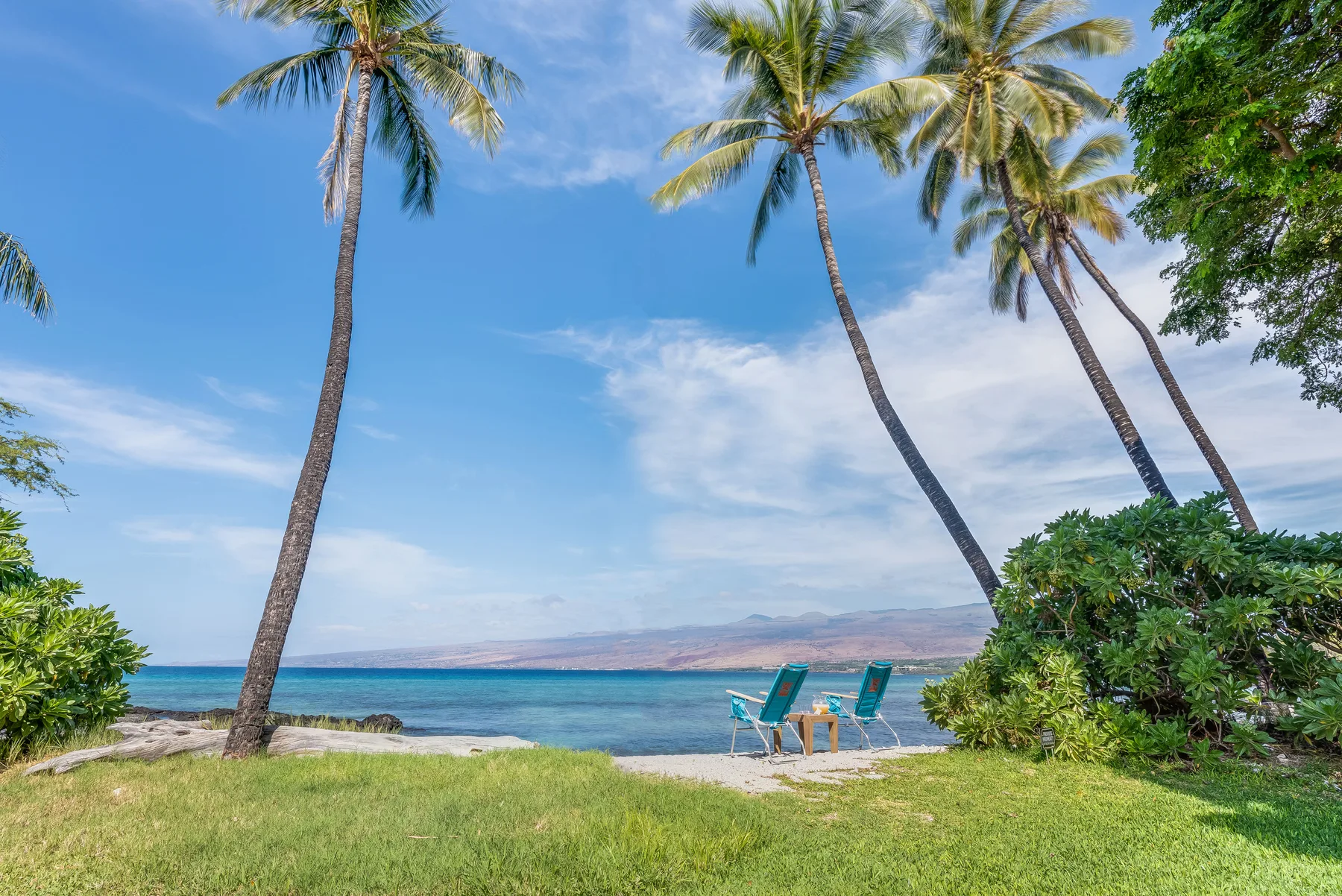 Una playa tropical con palmeras, césped verde y agua turquesa.