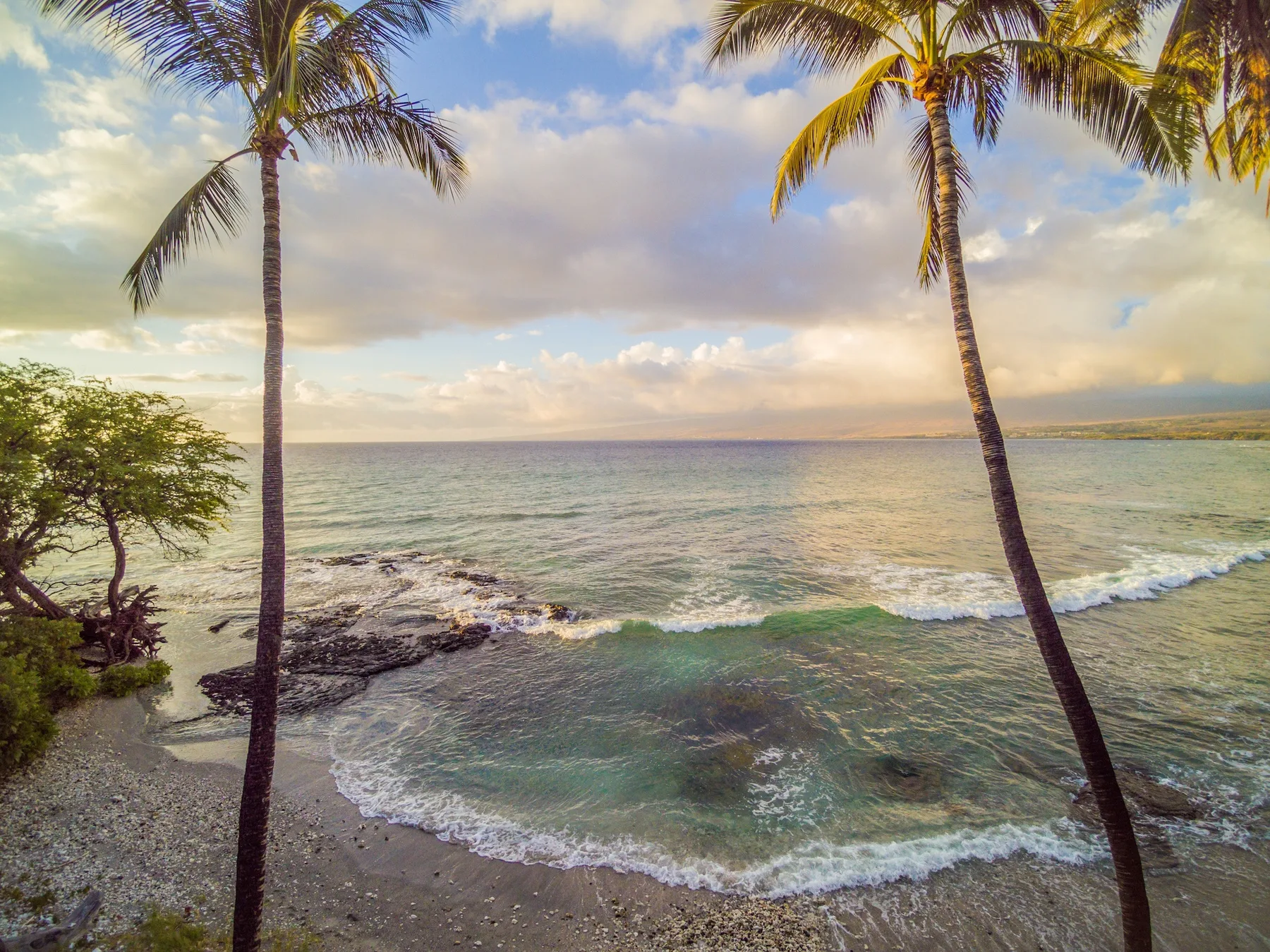 Una costa tropical con palmeras que enmarcan olas suaves bajo un cielo nublado.