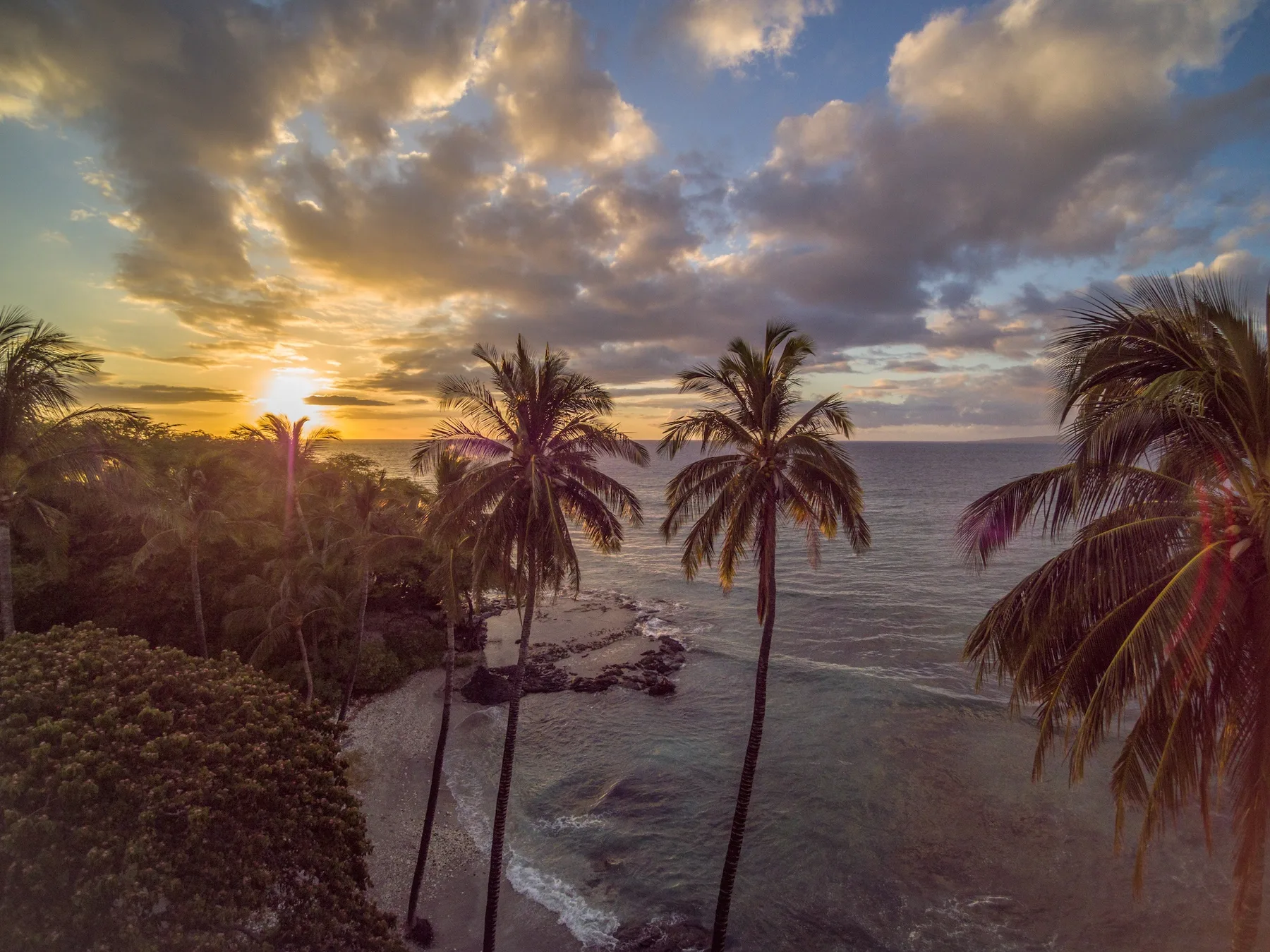 Palmeras enmarcan la costa y el mar tranquilo bajo un cielo nublado al atardecer.