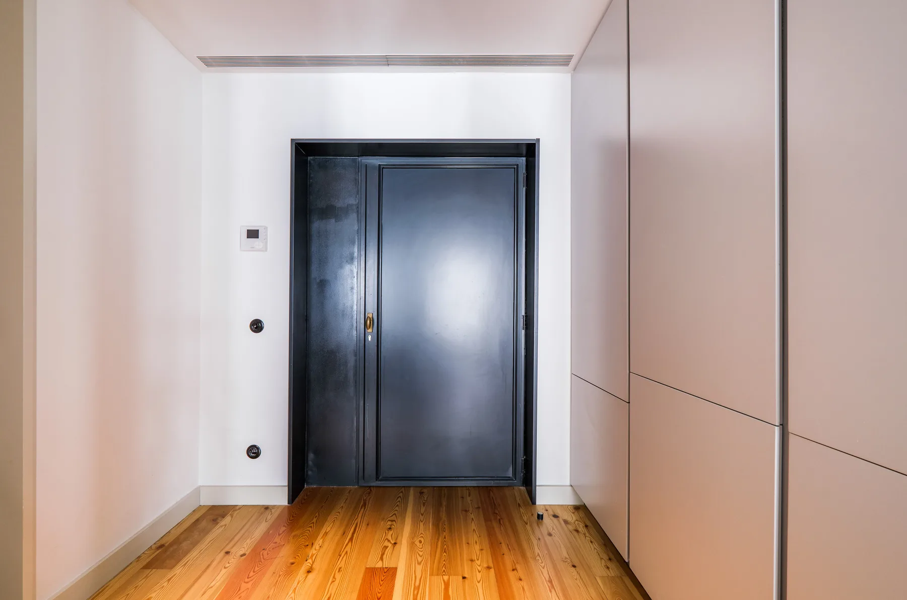 A narrow entry hallway with a dark door and wooden flooring.