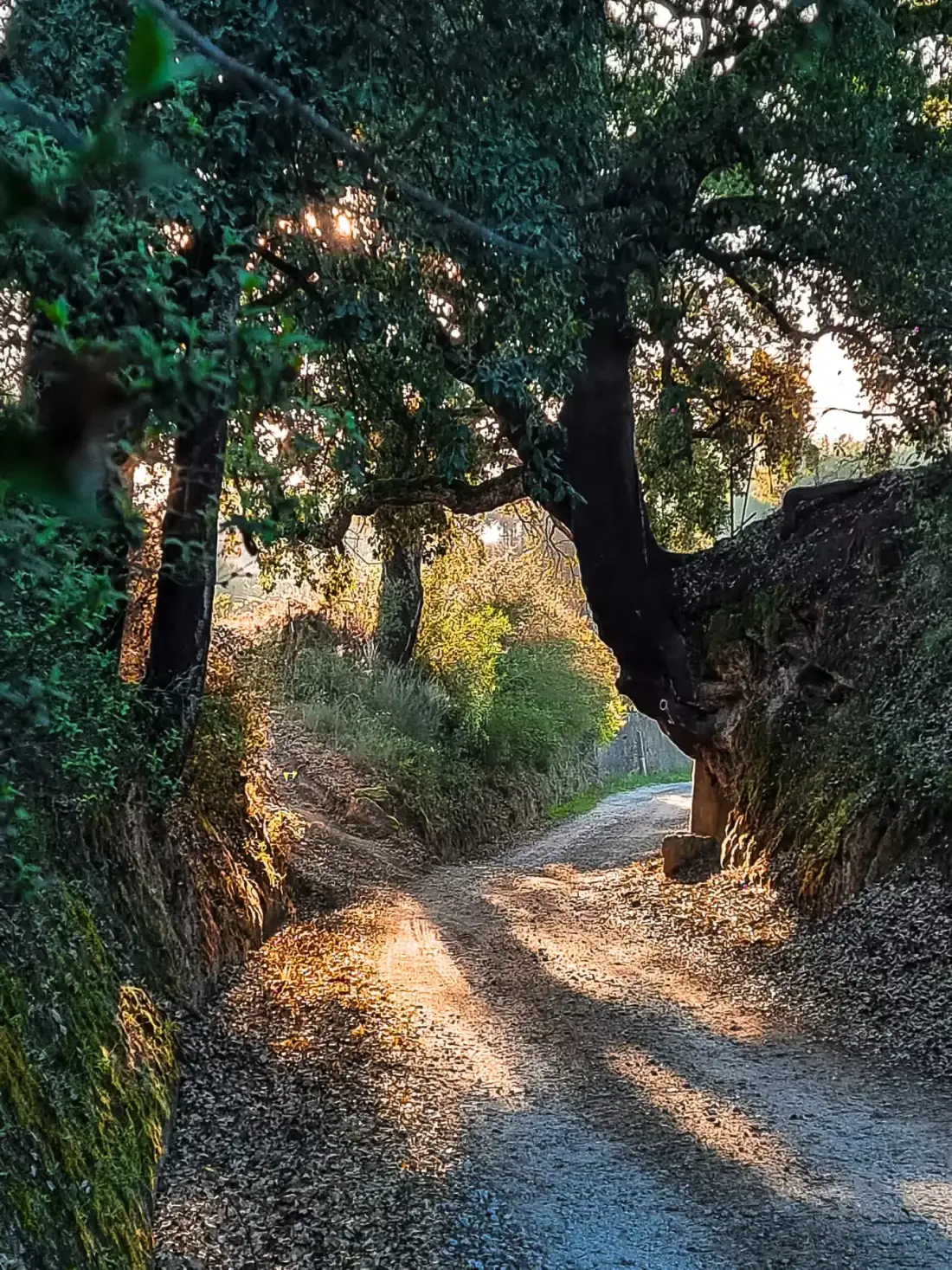Countryside around Quinta da Barroca do Cabo in Ázere