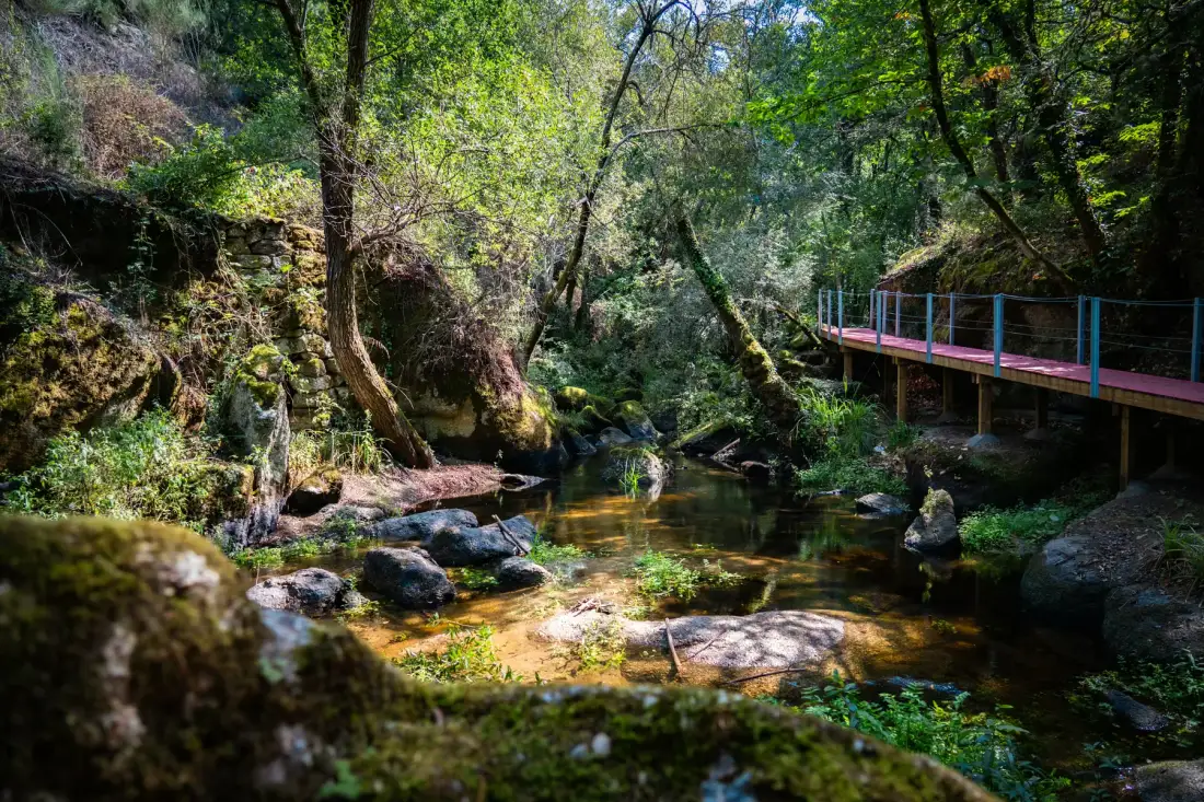 Countryside around Quinta da Barroca do Cabo in Ázere