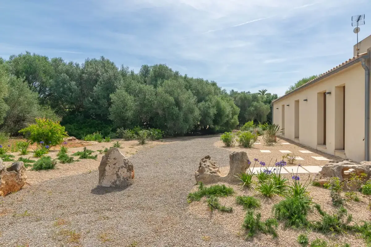 A gravel courtyard beside a building, with trees and low plants around the yard.