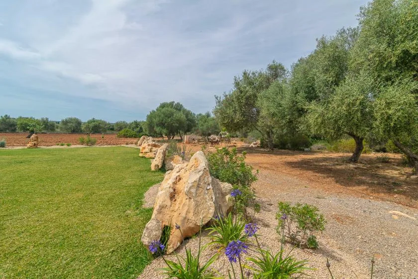 A landscaped garden with a green lawn, stone border, and mature trees.