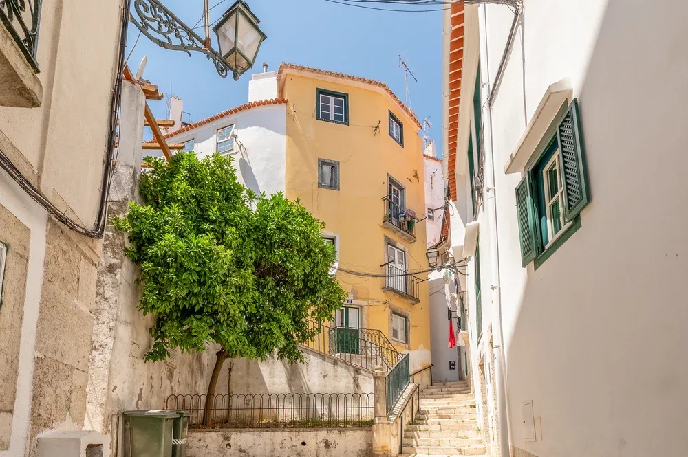 A narrow outdoor street passes colorful buildings, a leafy tree, and steps.