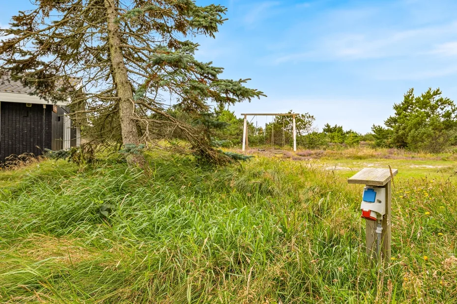 A grassy outdoor area with a large tree and a small wooden post.