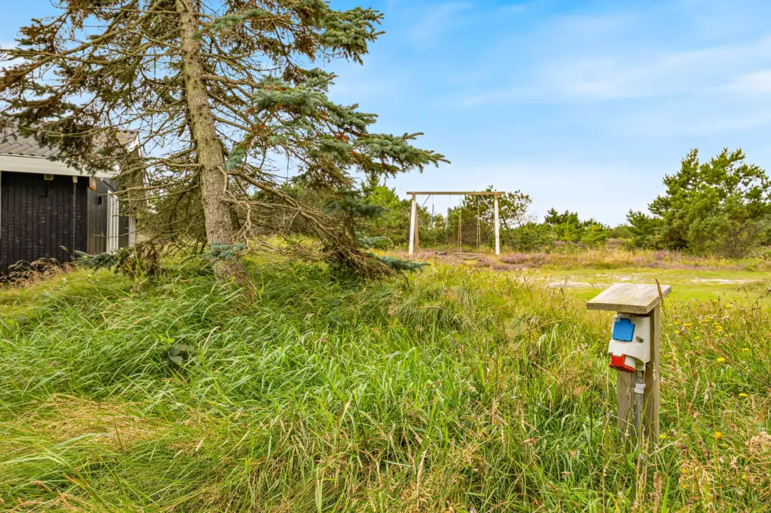 A grassy outdoor area with a tree and a small wooden post-mounted box.