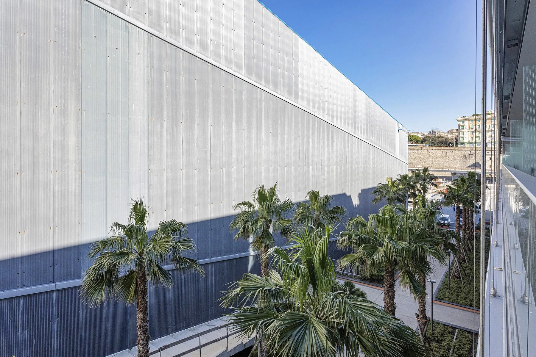 Palm trees line a paved walkway beside a large building under a clear blue sky.