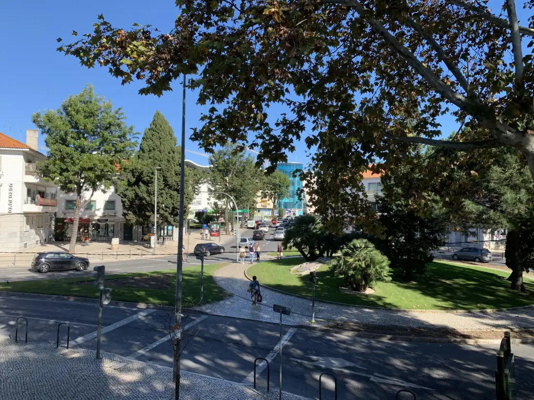 Un parque urbano arbolado junto a una calle, con edificios al otro lado.