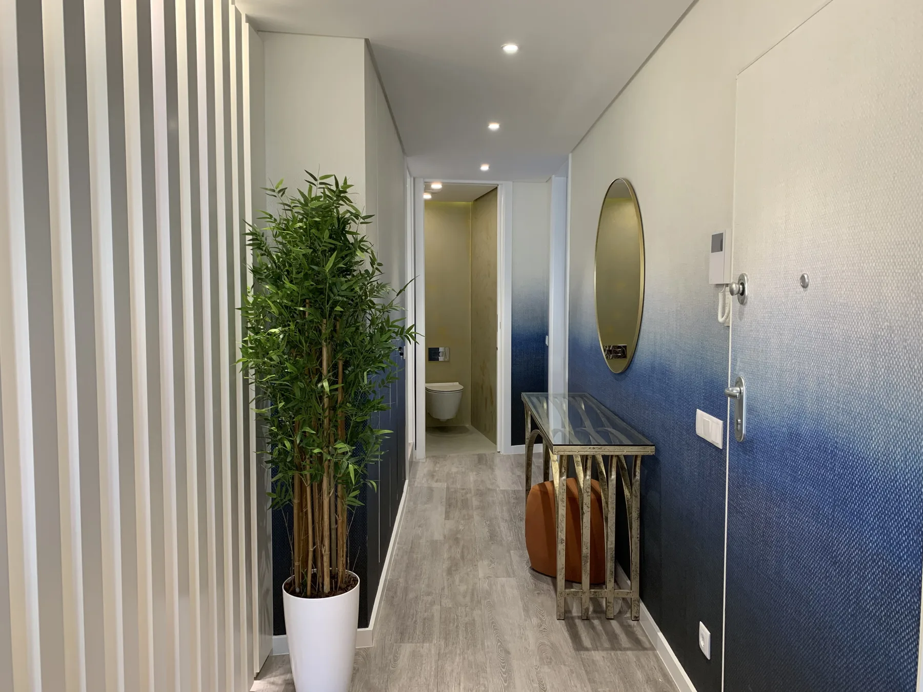 Un pasillo moderno con una planta en maceta, una mesa consola y una puerta al fondo.