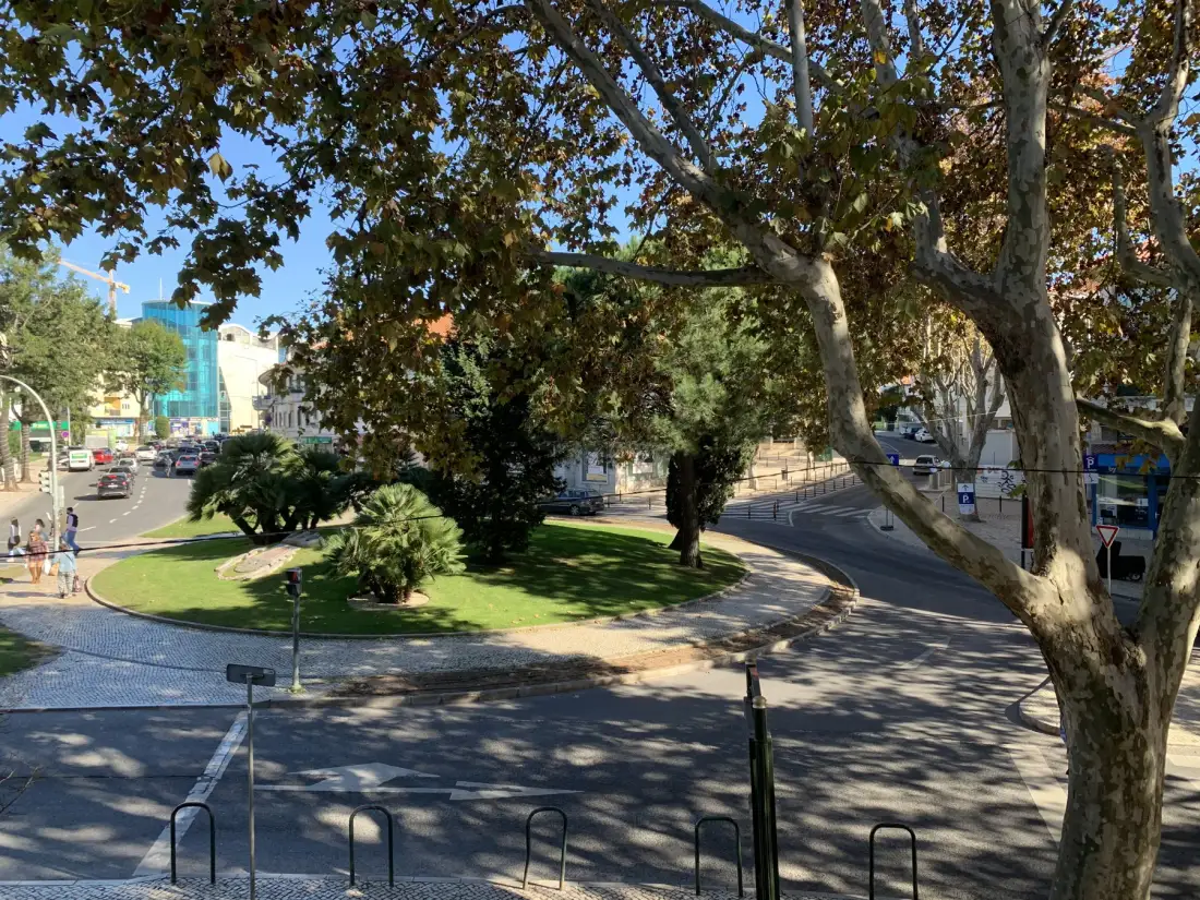 Un parque urbano frondoso con un camino pavimentado que rodea una zona de césped.