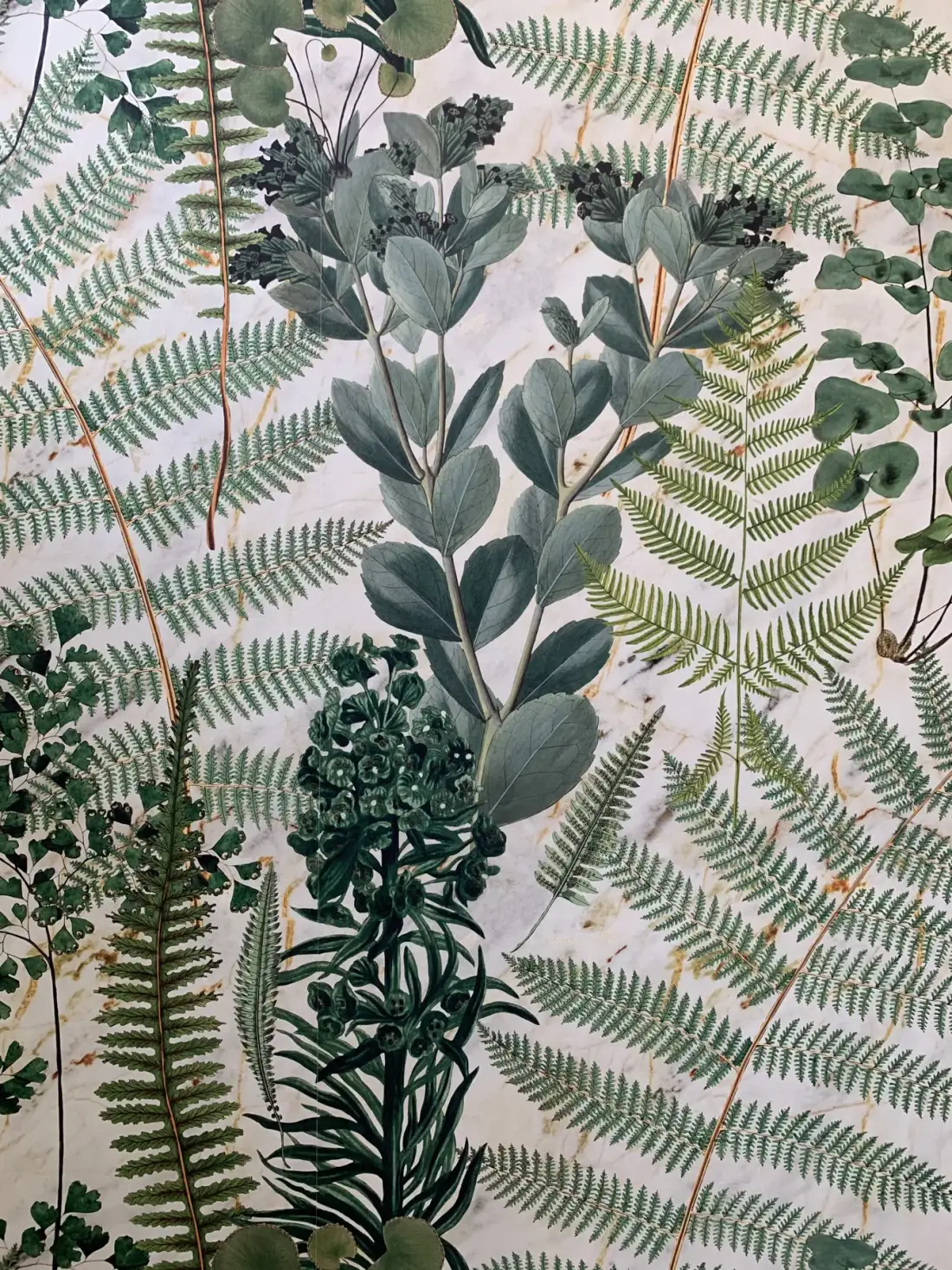 Un revestimiento de pared botánico presenta helechos verdes y hojas.