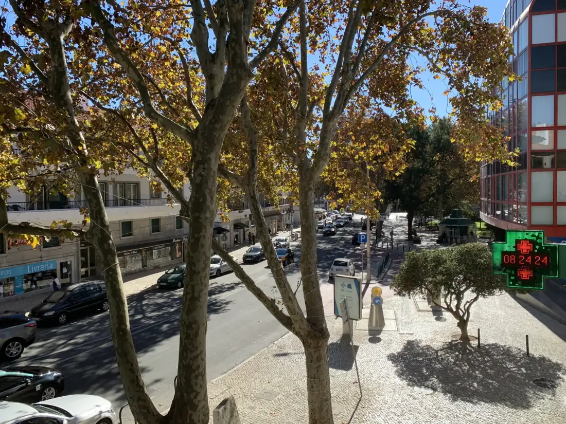 Una calle urbana arbolada con coches aparcados y una acera pavimentada.