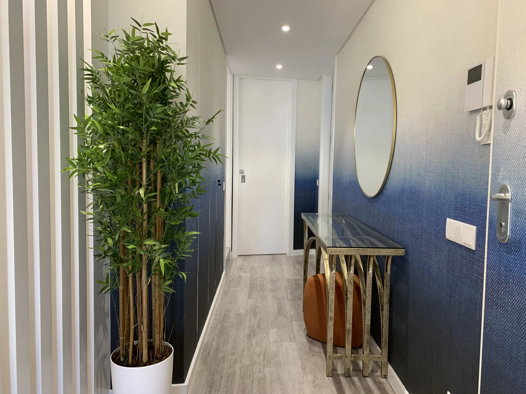 Un estrecho recibidor de apartamento tiene una consola, un espejo ovalado y una planta en maceta.