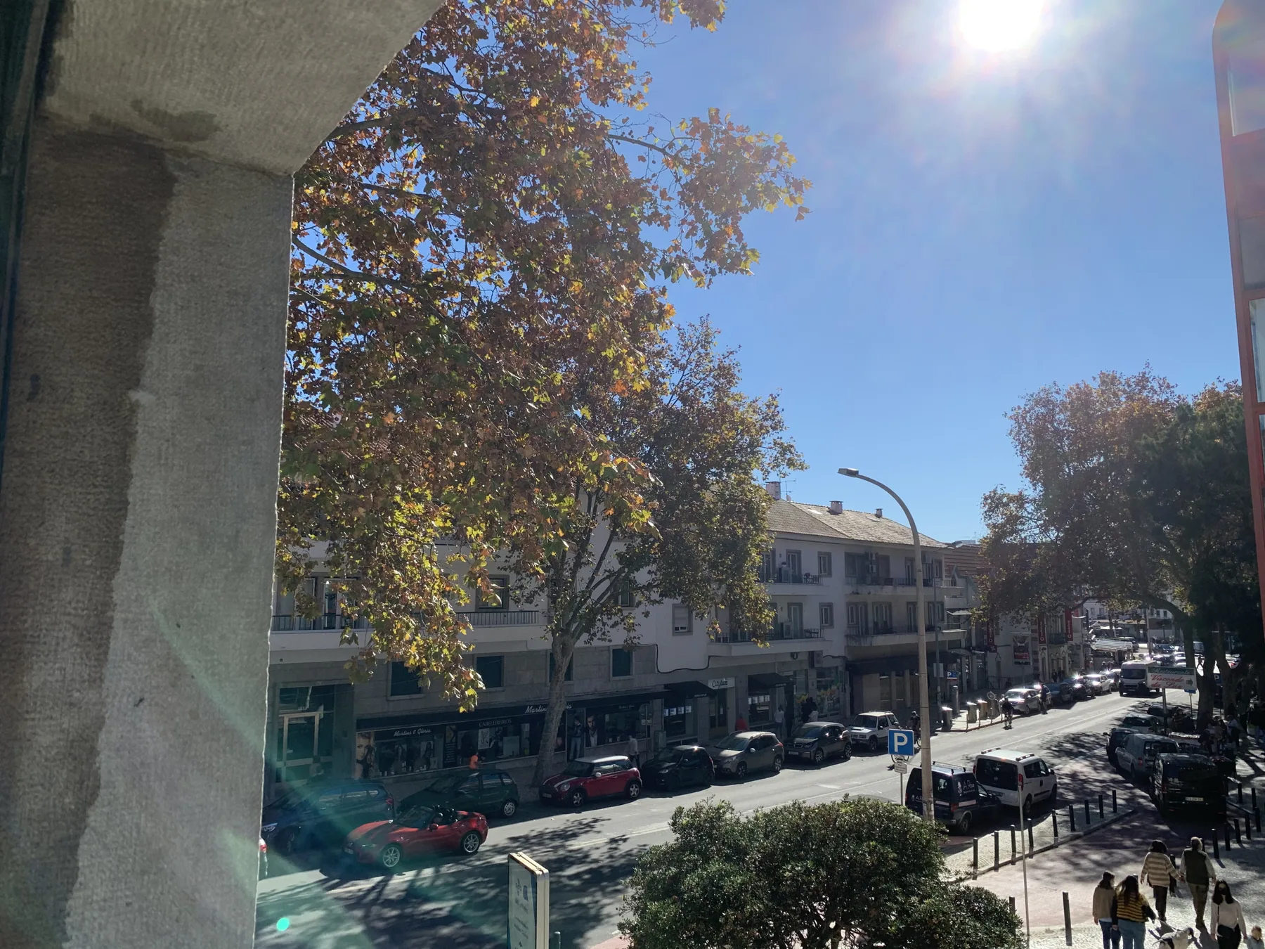 Una calle urbana soleada con árboles, tiendas y coches aparcados.