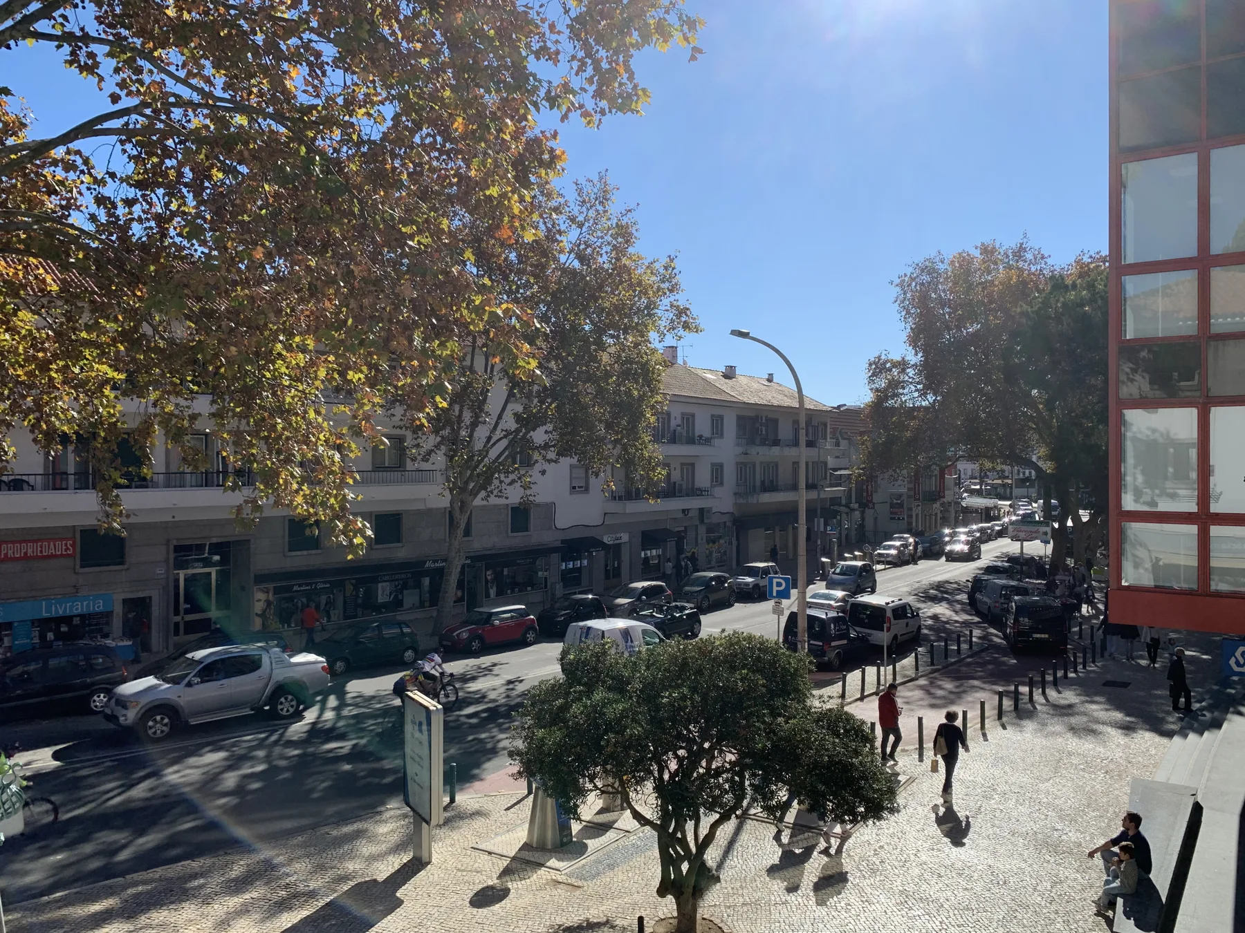 Una calle urbana soleada con coches, tiendas y árboles junto a la acera.