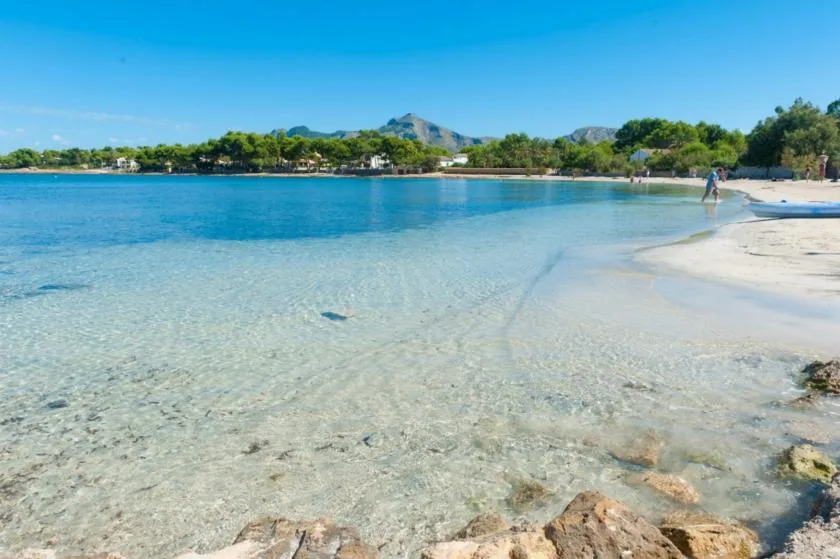 A clear beach cove with shallow water, pale sand, and a tree-lined shore.