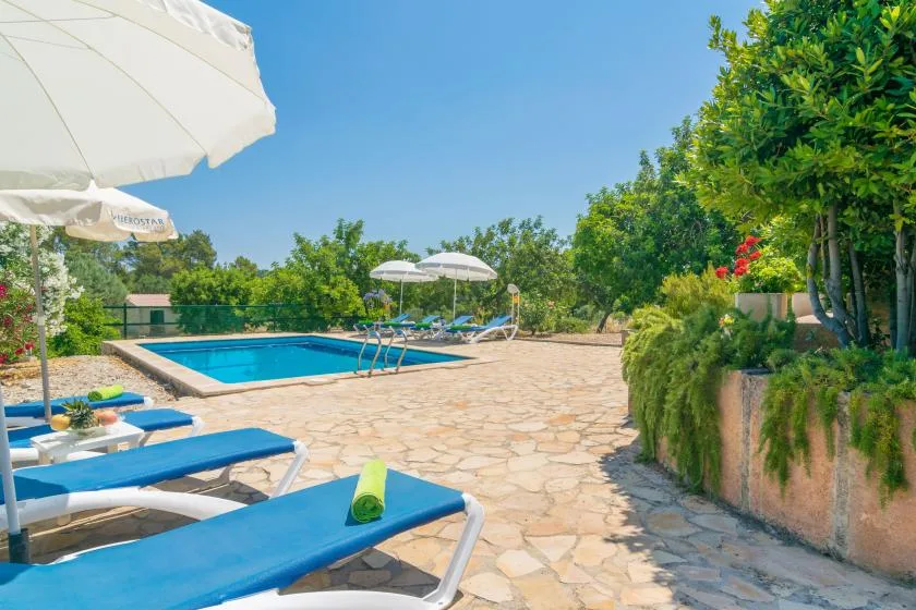 Una piscina al aire libre está junto a tumbonas azules y vegetación frondosa.