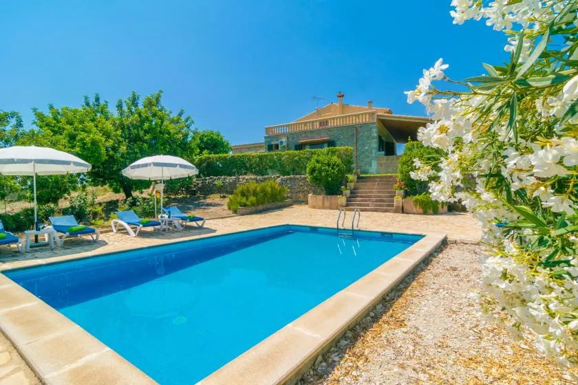 Una piscina al aire libre junto a una casa, con tumbonas y sombrillas cerca.