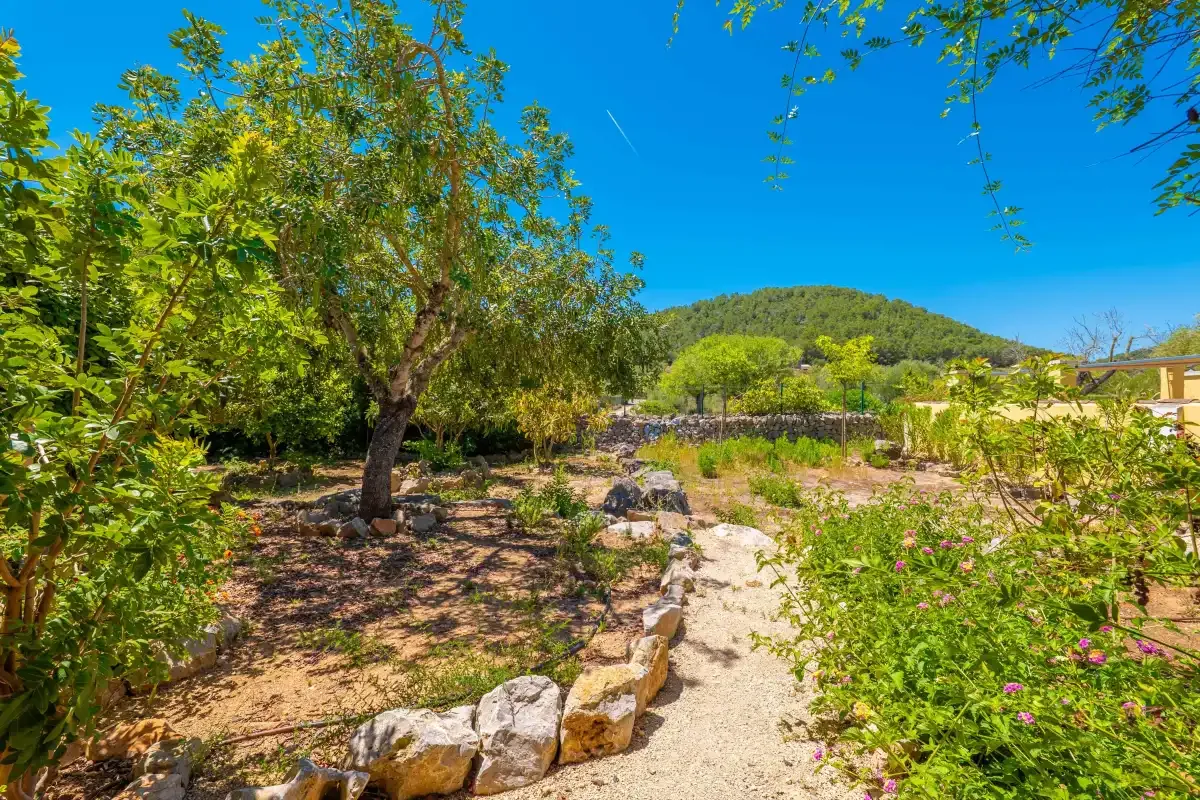 Un sendero soleado atraviesa un jardín entre árboles y plantas con flores.
