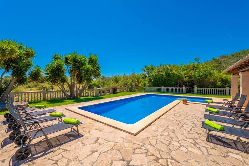 Una piscina está en un patio pavimentado y soleado, rodeado de vegetación.