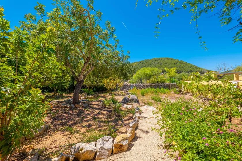 Un sendero soleado serpentea entre árboles y plantas con flores.