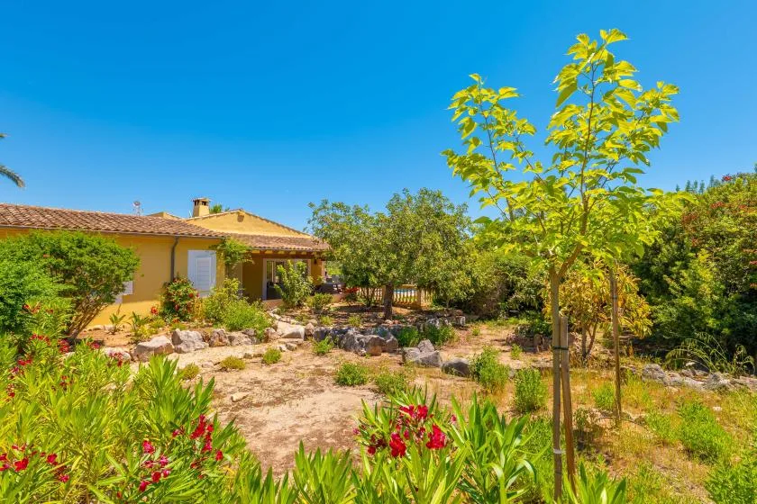 Un jardín ajardinado rodea una casa de una planta bajo un cielo azul despejado.