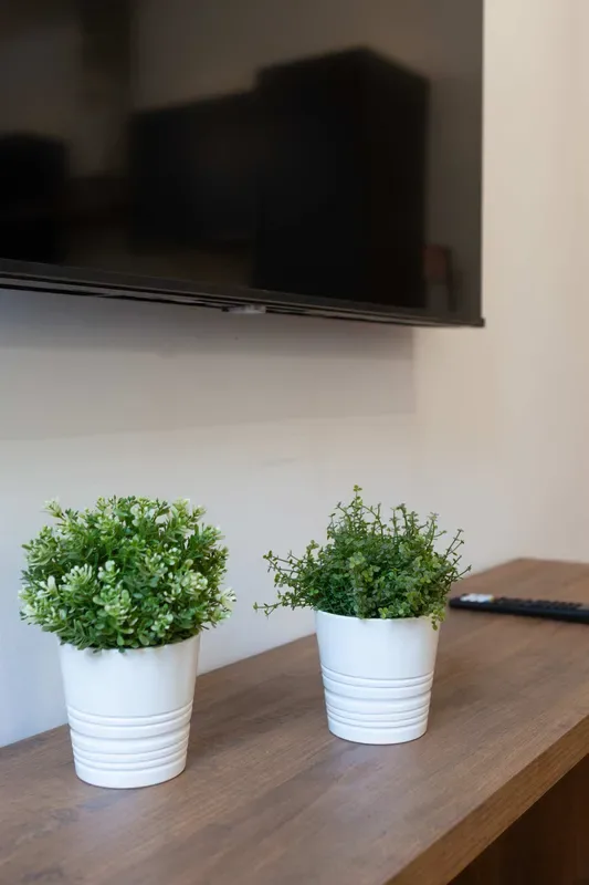 A wooden console beneath a wall-mounted television holds two small potted plants.