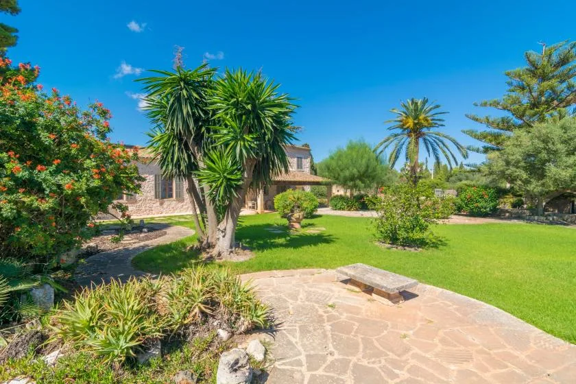 A landscaped garden with a stone patio, green lawn, and palm trees.