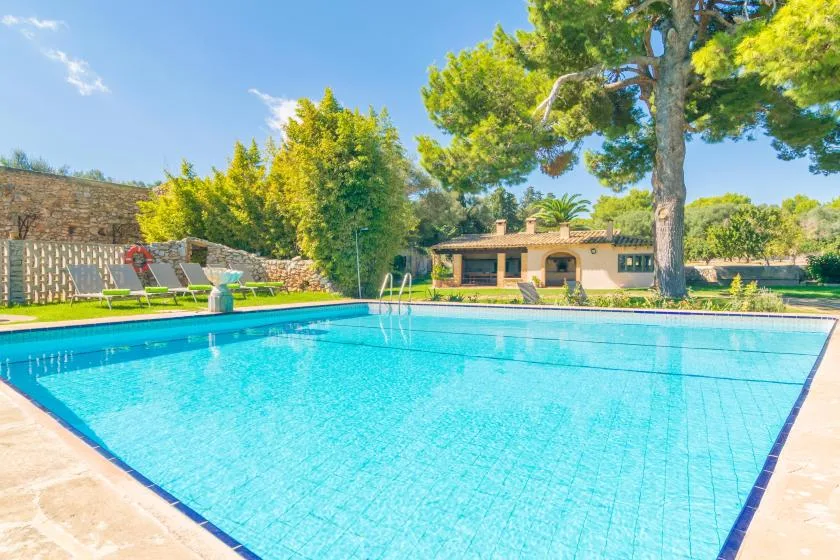 An outdoor swimming pool is surrounded by trees and a low building.