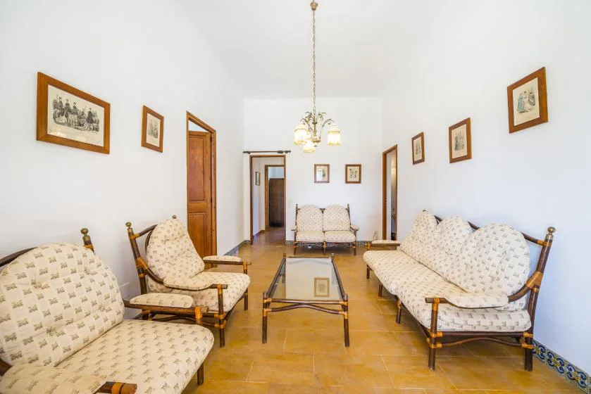 A bright living room with patterned seating and a glass coffee table.