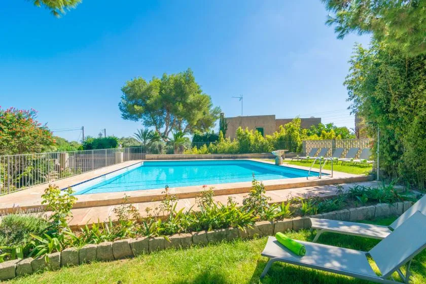 An outdoor swimming pool sits among garden greenery beneath a clear blue sky.