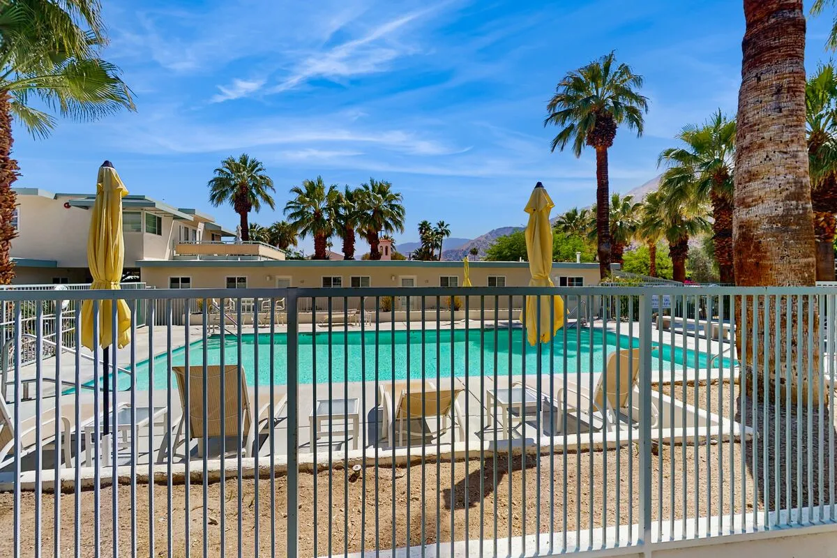 An outdoor swimming pool with lounge seating and palm trees.