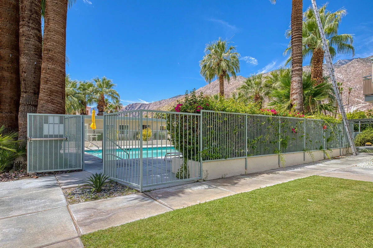 An outdoor swimming pool sits behind a metal fence amid palm trees and greenery.