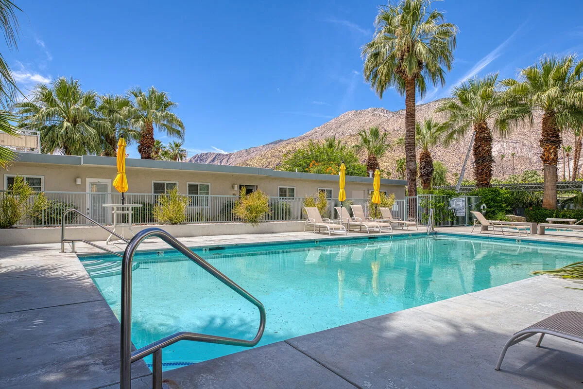 An outdoor swimming pool is surrounded by lounge seating and palm trees.