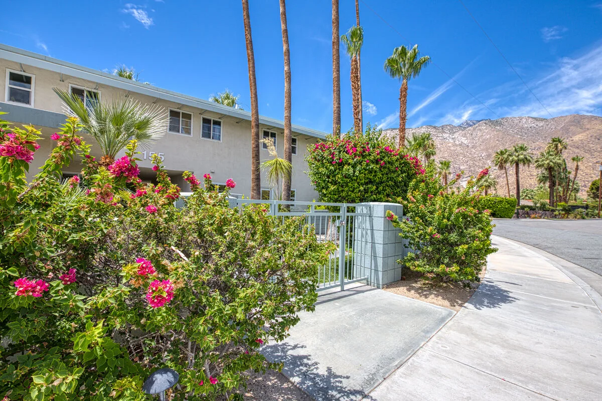 A sunny outdoor walkway runs beside a building and flowering shrubs.