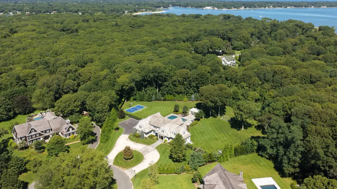An aerial view shows two houses surrounded by trees, with water in the distance.
