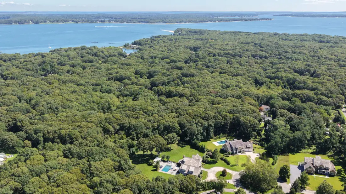 An aerial view shows homes surrounded by dense woodland beside a wide body of water.