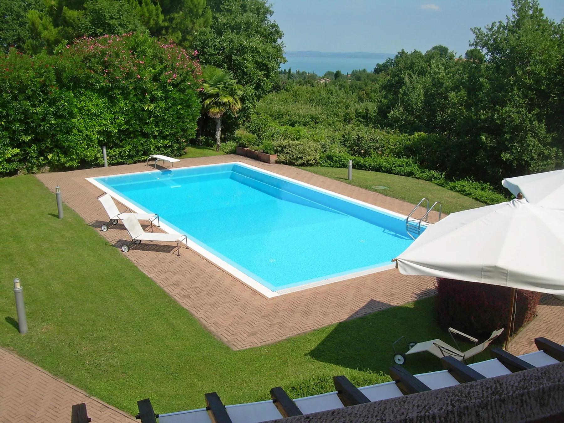 A swimming pool sits in a garden, surrounded by greenery.