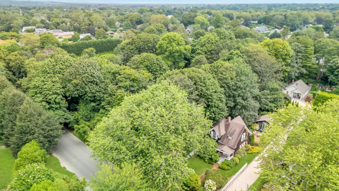 Aerial view of a house surrounded by trees and greenery.