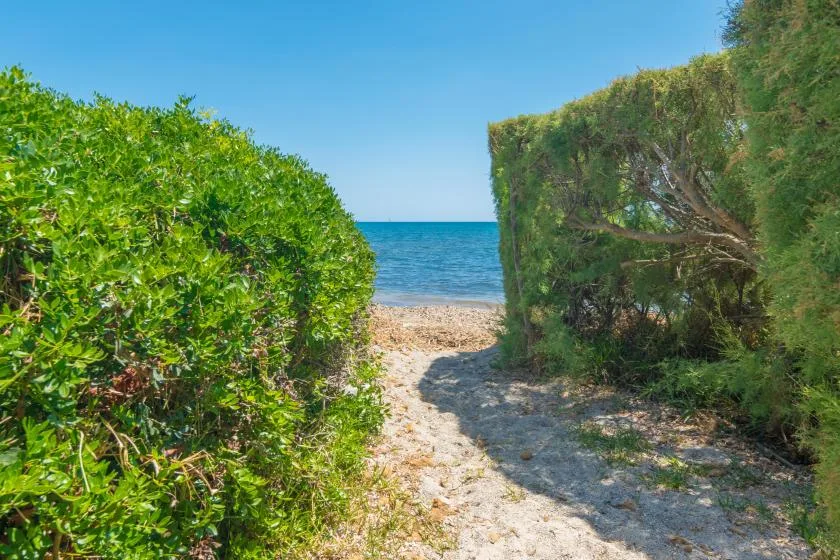 A sandy path between green hedges leads to the sea.