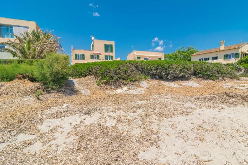 A sandy coastal landscape with low shrubs and buildings beneath a clear blue sky.