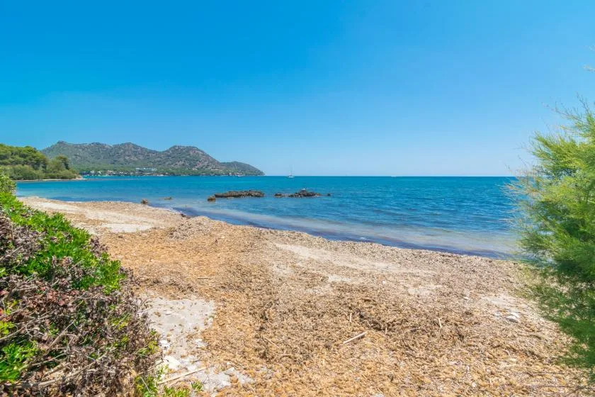 A sunny beach with clear blue water, dry shoreline, and distant hills.
