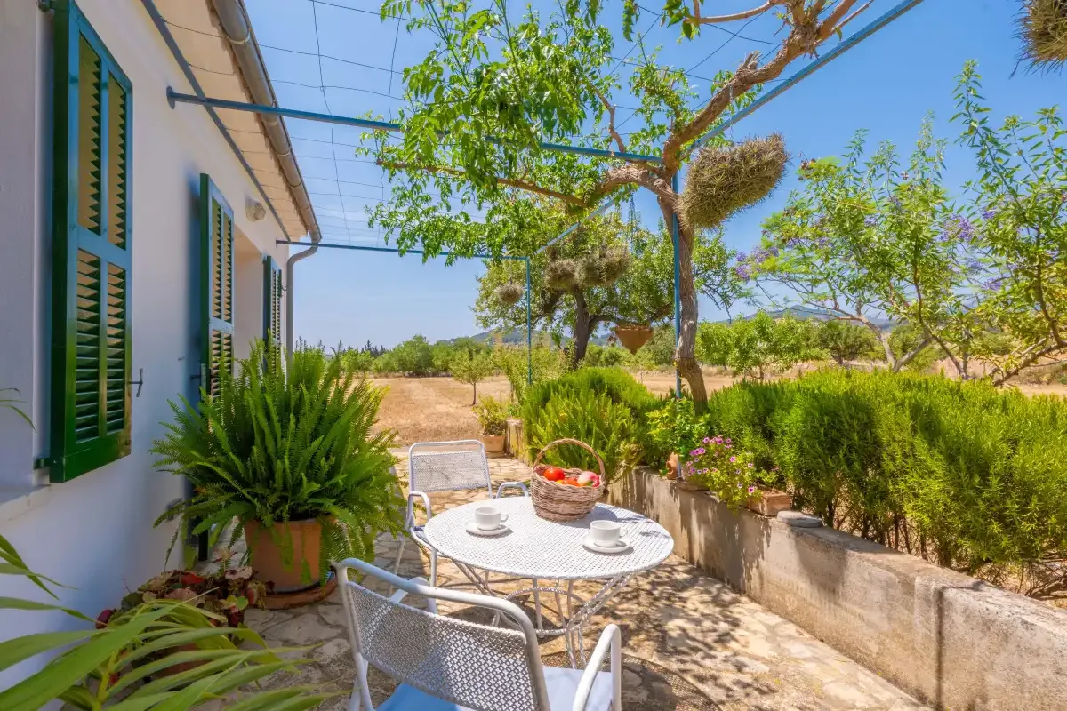 A sunny outdoor patio with a round table, seating, and leafy plants.
