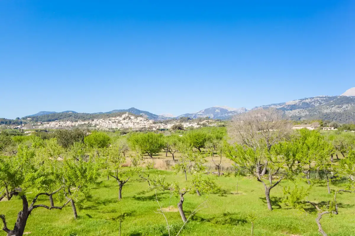 A green orchard with scattered trees stretches toward distant hills beneath a clear blue sky.