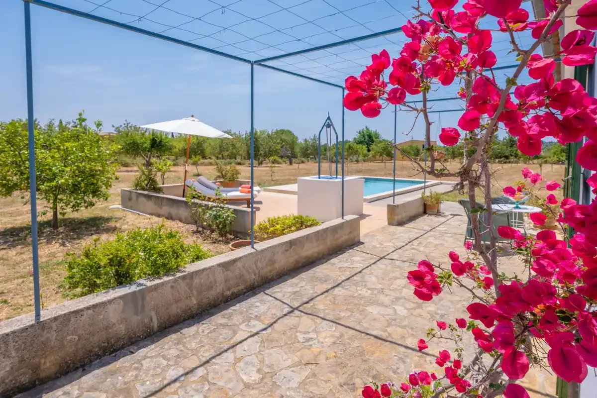 A swimming pool sits beside a stone patio and flowering plants.