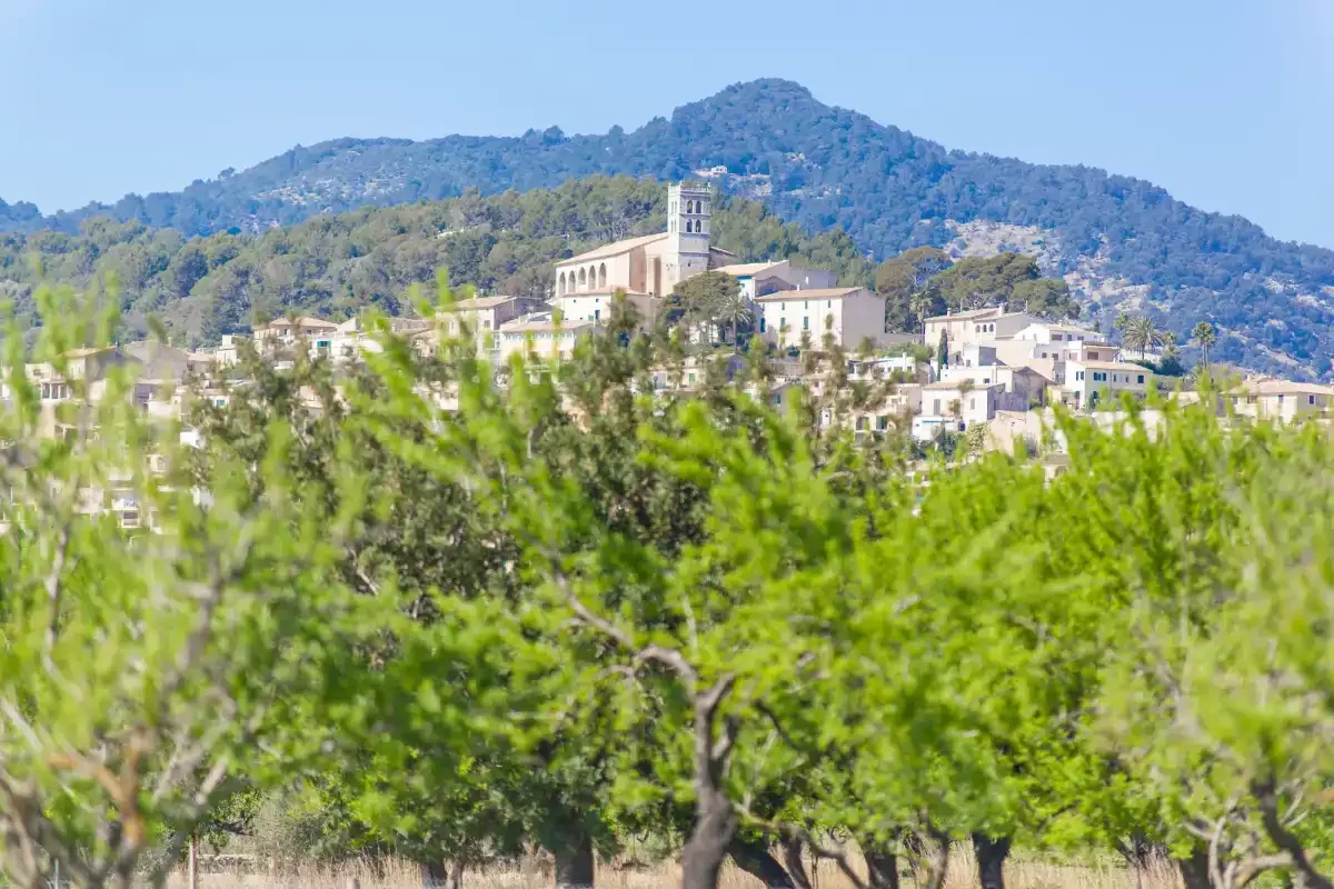 A hillside village sits among trees with a mountain ridge in the background.