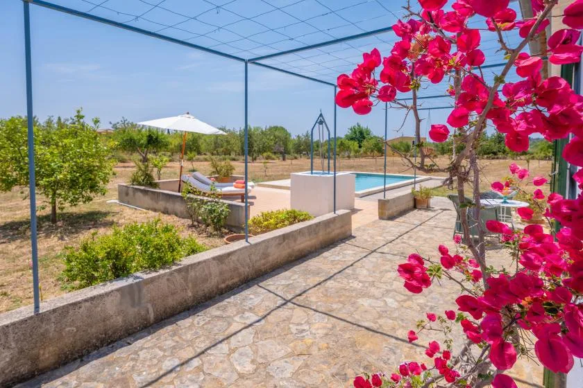 An outdoor pool area with stone paving, garden plants, and bright flowering vines.