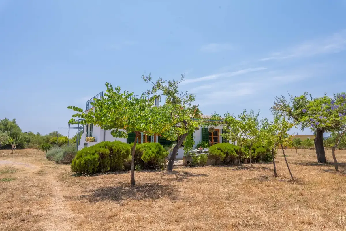 A house stands among trees and shrubs in a dry, open landscape.