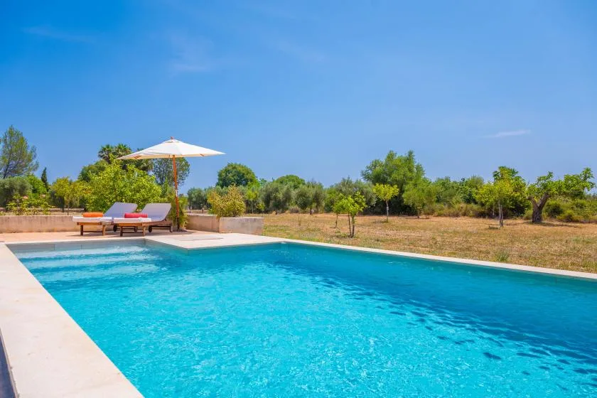 Outdoor swimming pool with lounge chairs and an umbrella beside a dry, tree-lined landscape.